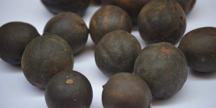 معلومة فى كبسولة الليمون الأسود وحرق دهون البطن والخصر والجوانب