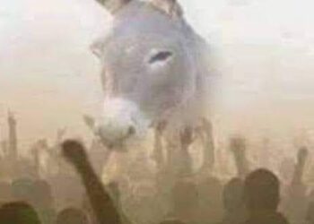 الحمار و زمام الأمور