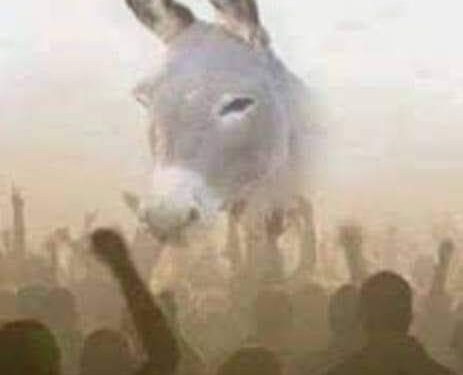 الحمار و زمام الأمور