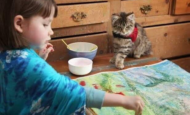 العلاج بالرسم للطفل التوحدي