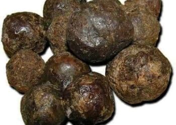 فوائد العكبر صمغ النحل (بروبوليس)