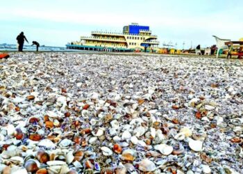 قصيدة سافرت بلاد كتير وقليل