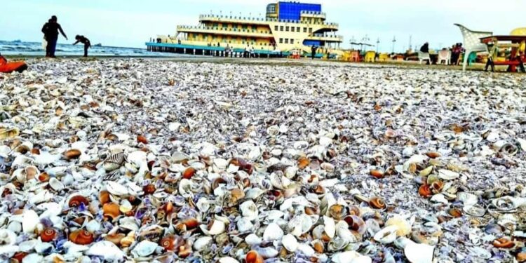 قصيدة سافرت بلاد كتير وقليل