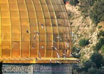 سلام على فلسطين