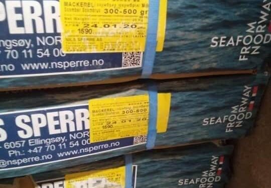 تموين الغربية :ضبط 300 كيلو أسماك مجمدة منتهية الصلاحية ببسيون