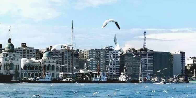 قصيدة جوه بلدي بورسعيد