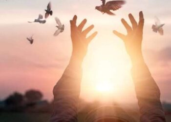 ليه رافض الكلام