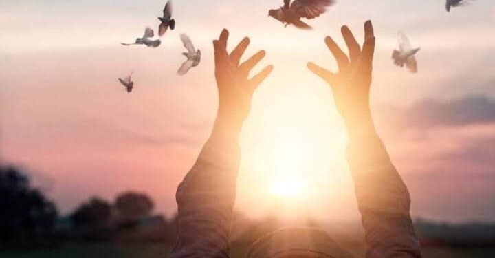 ليه رافض الكلام