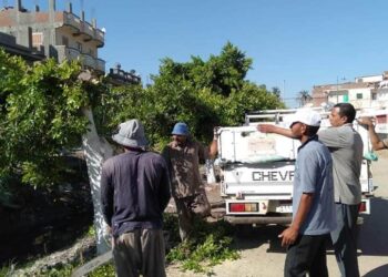 متابعة أعمال تجميل وتزيين مداخل أبوحمص