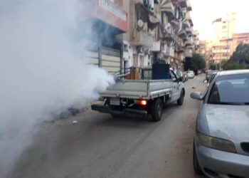 حى المناخ :استمرار حملات إزالة الاشغالات ومكافحة البعوض والذباب بنطاق الحى