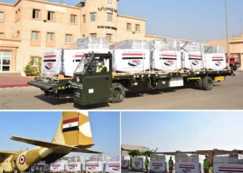 مساعدات طبية مصرية للحكومة الشرعية باليمن