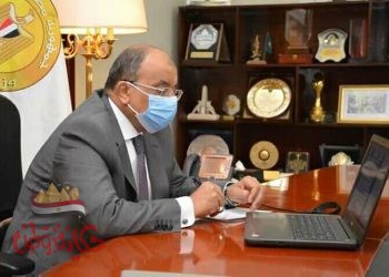 شعراوي” يعقد إجتماعاً مع فريق من البنك الدولي لمتابعة أخر مستجدات برنامج التنمية المحلية بصعيد مصر