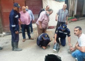 هبوط أرضى بشارع بورسعيد بعمق ٤ متر