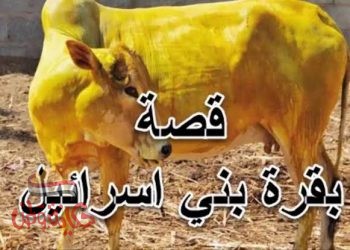 قصة بقرة بين إسرائيل