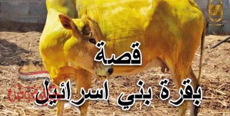 قصة بقرة بين إسرائيل
