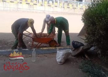 المنوفية : رفع ٣٥ طن قمامة وانشاء حوض زينة و رفع ٥متر أتربة و رفع كفاءة الأرصفة بالباجور