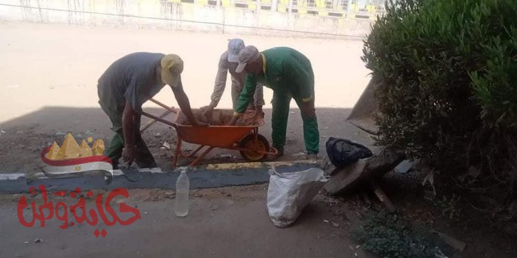 المنوفية : رفع ٣٥ طن قمامة وانشاء حوض زينة و رفع ٥متر أتربة و رفع كفاءة الأرصفة بالباجور