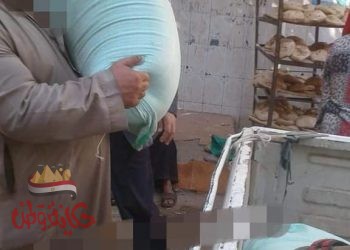 محافظه المنوفيه …تحرير محاضر تموينيه بمركز الباجور