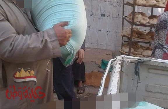 محافظه المنوفيه …تحرير محاضر تموينيه بمركز الباجور