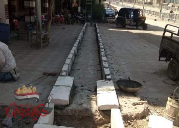 المنوفية :تحسين البيئة بإنشاء أحوض للزرع بمدينة الباجور