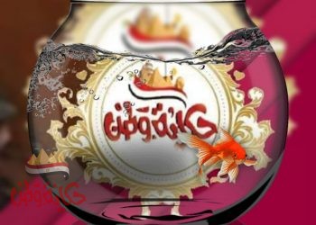 معلومات متنوعة جميلة