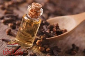 تعرف علي فوائد نبات القرنفل الغنية بالفيتامينات والعناصر المهمة