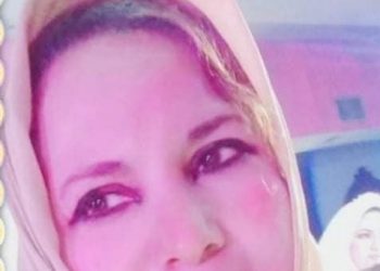 “”نانى الشويخ “” بنت وزارة الري تنعم بسجل بارز داخل الوزارة