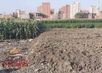 محافظ الشرقية يأمر بإيقاف أعمال بناء مخالفة علي الأرض الزراعية