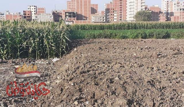 محافظ الشرقية يأمر بإيقاف أعمال بناء مخالفة علي الأرض الزراعية