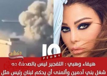 هيفاء وهبى اتمنى ان يكون للسيسى شبيها يحكم لبنان