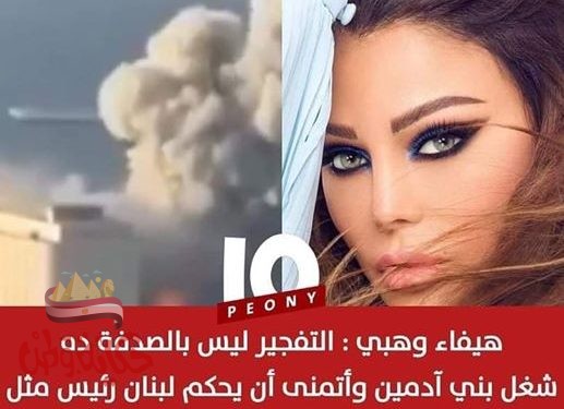 هيفاء وهبى اتمنى ان يكون للسيسى شبيها يحكم لبنان