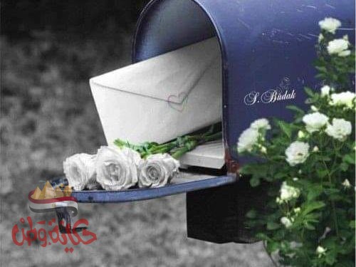 الي بينا مش احساس وبس