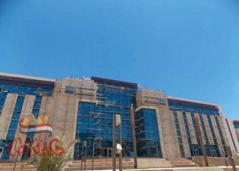 إنشاء 4 جامعات أهلية “الملك سلمان الدولية والعلمين الدولية والجلالة والمنصورة الجديدة”