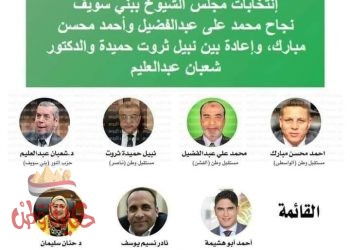 نتائج إنتخابات ببنى سويف بالارقام