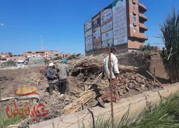 إزالات علي الأراضي الزراعية بأشمون