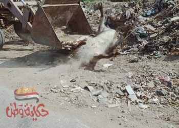 أستكمالا لحملات تمهيد الطرق.