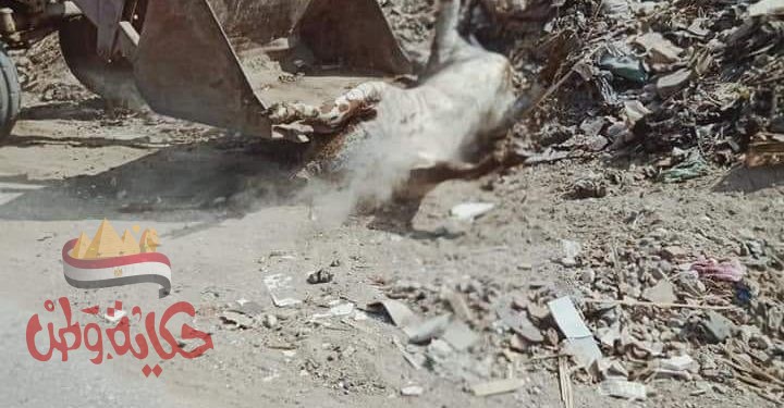 أستكمالا لحملات تمهيد الطرق.