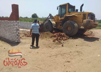 المنوفية : تنفيذ 29 قرار إزالة بنطاق المحافظة حتى منتصف أغسطس الجارى