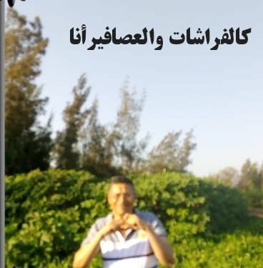 كالفراشات والعصافيرأنا