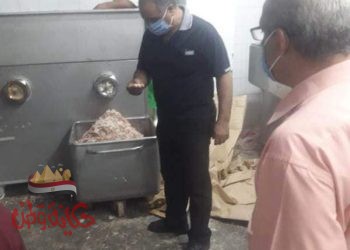 محافظة المنوفية : ضبط 250كجم لحوم مجمده مجهولة المصدر