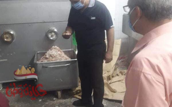 محافظة المنوفية : ضبط 250كجم لحوم مجمده مجهولة المصدر