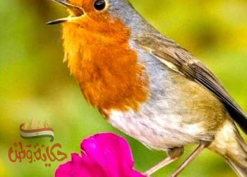 وما إبتلاك الله إلا حبا