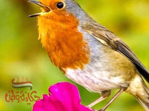 وما إبتلاك الله إلا حبا