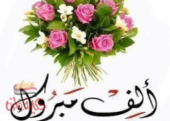 جريدة حكاية وطن تهنئ مهندسين التوسع الافقى بالبحيرة