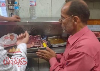 . حملات للتفتيش على الأغذية بمدينة ومركز الباجور المنوفيه