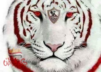 زملكاوية..أنا ..