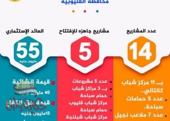 "وزارة الشباب" تنشئ ٣ حمامات سباحة جديده و ملعبين بمراكز شباب القليوبية