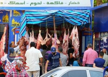 أسعار اللحوم وانواعها بالأسواق المحلية اليوم