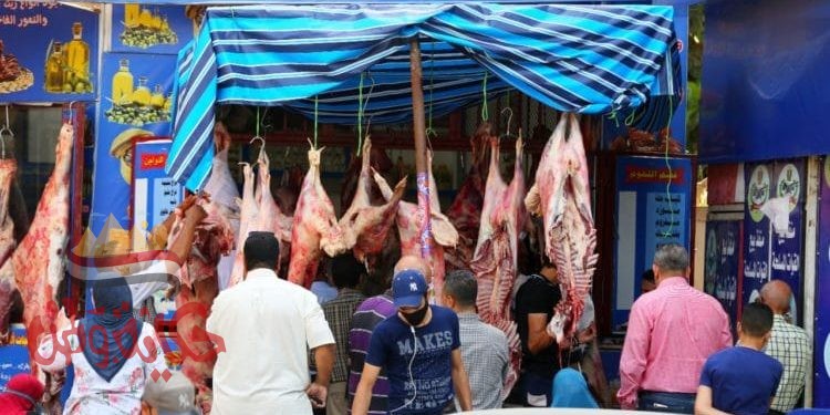 أسعار اللحوم وانواعها بالأسواق المحلية اليوم
