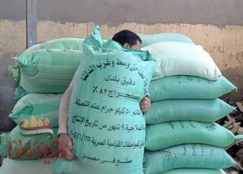 ضبط ٤ مصانع بدون ترخيص بإيتاي البارود وشبراخيت والتحفظ على ٣ طن و٢٠٠ كيلو دقيق بلدي مدعم مهرب